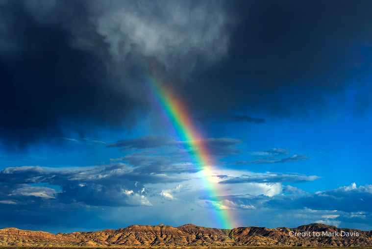 Financial Contributions